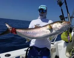 Oceans Legacy Adrenalin Light Game Spin Rod 621ML PE3 -Rods Shop Adrenalin 1 1018x800 1 555b400b 2d54 49d9 a533 75fee1dd1665