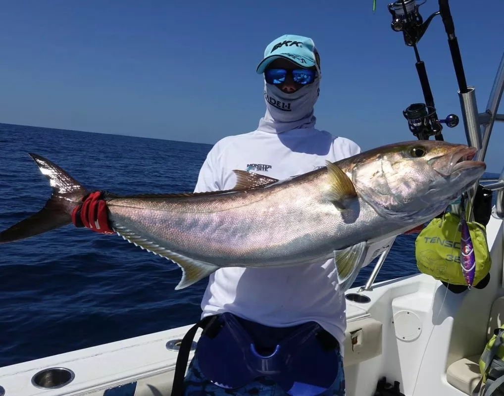 Oceans Legacy Adrenalin Light Game Spin Rod 611M PE3.5 2 Oceans Legacy Adrenalin Light Game Spin Rod 611M PE3.5 - Image 2