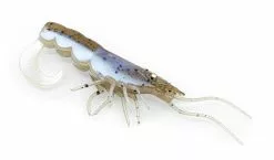 Chasebaits Curly Prawn Soft Plastic Lure 60 10 Chasebaits Curly Prawn Soft Plastic Lure 60 -Rods Shop CP60 05PearlPrawn