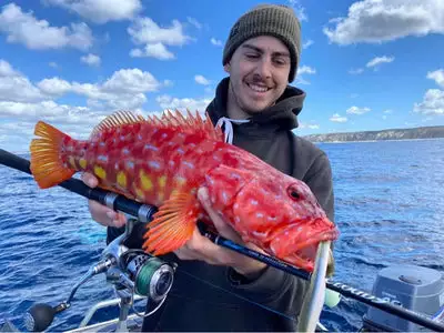 Oceans Legacy Cloud 9 Rod CLSP-S732LL 2 Oceans Legacy Cloud 9 Rod CLSP-S732LL - Image 2