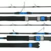 Daiwa Spartan Rod S10-2/4 Spin PE2-4