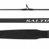 Daiwa Saltist BW Rod 60S Spin