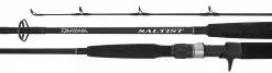 Daiwa Saltist BW Rod SJ792H Spin