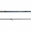 NS Black Hole Cabin 2 Monster Rod 962 Spin