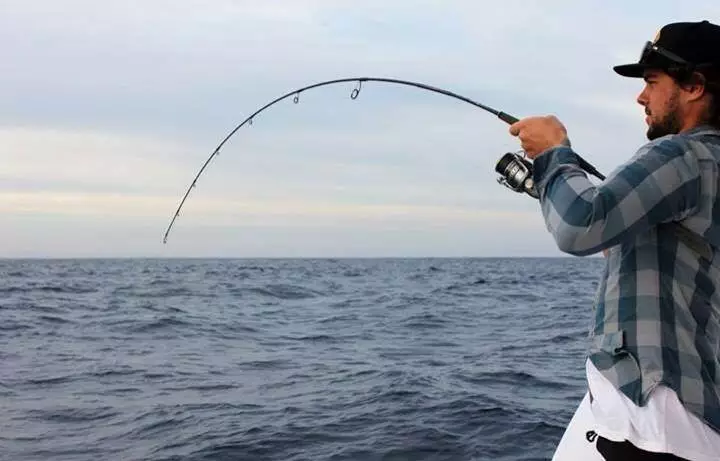 NS Black Hole Demersal Explorer Rod PE3 Spin 1 NS Black Hole Demersal Explorer Rod PE3 Spin