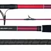 Daiwa Sensor Surf Rod 122S